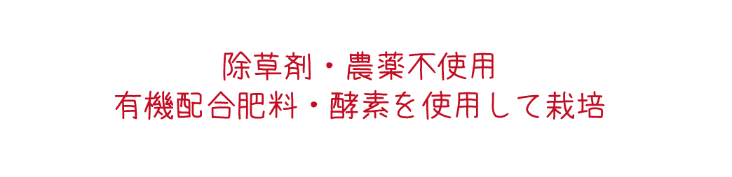 除草剤・農薬不使用。有機栽培肥料・酵素を使用して栽培