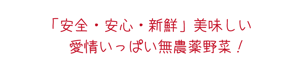 愛情いっぱい無農薬野菜